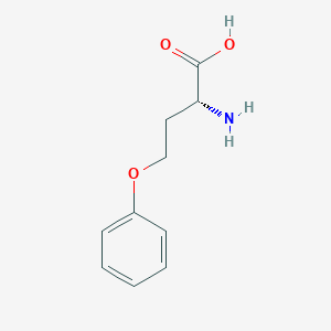 molecular formula C10H13NO3 B3184359 (2R)-2-Amino-4-phenoxybutanoic acid CAS No. 111950-17-5