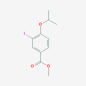 molecular formula C11H13IO3 B3184933 Methyl 3-iodo-4-isopropoxybenzoate CAS No. 1131614-15-7