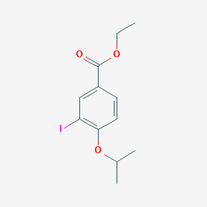 molecular formula C12H15IO3 B3185021 Ethyl 3-iodo-4-isopropoxybenzoate CAS No. 1131614-47-5