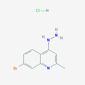 molecular formula C10H11BrClN3 B3185568 7-Bromo-4-hydrazino-2-methylquinoline hydrochloride CAS No. 1172816-69-1
