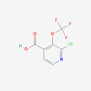 molecular formula C7H3ClF3NO3 B3186295 2-氯-3-(三氟甲氧基)异烟酸 CAS No. 1221171-78-3