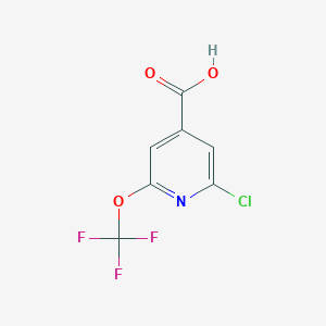 molecular formula C7H3ClF3NO3 B3186306 2-Chloro-6-(trifluoromethoxy)isonicotinic acid CAS No. 1221171-97-6