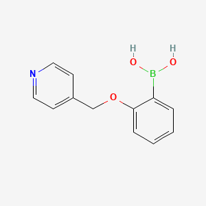 molecular formula C12H12BNO3 B3186547 2-(Pyridin-4-ylmethoxy)phenylboronic acid CAS No. 1256355-49-3