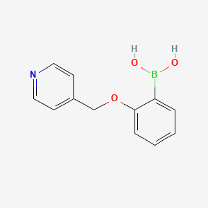 2-(Pyridin-4-ylmethoxy)phenylboronic acid