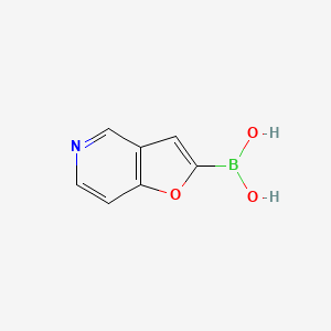 molecular formula C7H6BNO3 B3186683 Furo[3,2-c]pyridin-2-ylboronic acid CAS No. 1264511-67-2