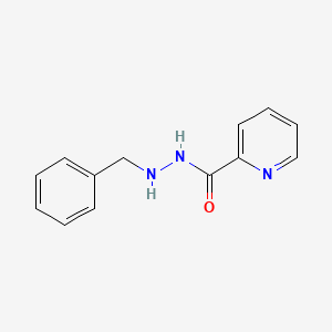 molecular formula C13H13N3O B3186783 Picolinic acid, 2-benzylhydrazide CAS No. 13045-62-0