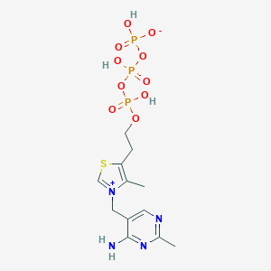 molecular formula C₁₂H₁₉N₄O₁₀P₃S B031887 Thiamine triphosphorate CAS No. 3475-65-8