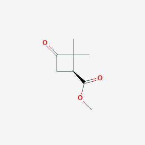 molecular formula C8H12O3 B3191221 Cyclobutanecarboxylic acid, 2,2-dimethyl-3-oxo-, methyl ester, (1S)-(9CI) CAS No. 527751-17-3