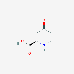 molecular formula C6H9NO3 B3195298 (R)-4-Oxopiperidine-2-carboxylic acid CAS No. 894767-26-1