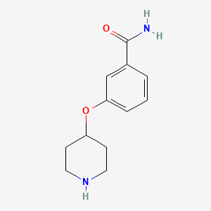 molecular formula C12H16N2O2 B3195453 3-(Piperidin-4-yloxy)benzamide CAS No. 907158-97-8
