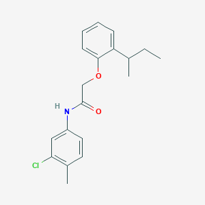 molecular formula C19H22ClNO2 B319550 2-(2-sec-butylphenoxy)-N-(3-chloro-4-methylphenyl)acetamide 