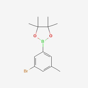 molecular formula C13H18BBrO2 B3195946 2-(3-Bromo-5-methylphenyl)-4,4,5,5-tetramethyl-1,3,2-dioxaborolane CAS No. 942069-53-6