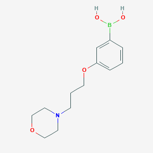molecular formula C13H20BNO4 B3197079 (3-(3-Morpholinopropoxy)phenyl)boronic acid CAS No. 1003028-41-8