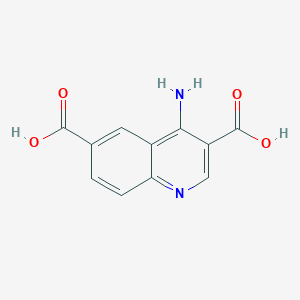 molecular formula C11H8N2O4 B3198286 4-Aminoquinoline-3,6-dicarboxylic acid CAS No. 1011407-10-5
