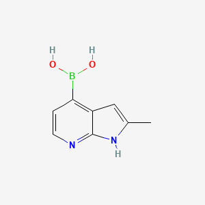 molecular formula C8H9BN2O2 B3198493 (2-Methyl-1H-pyrrolo[2,3-b]pyridin-4-yl)boronic acid CAS No. 1014614-07-3