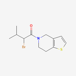 molecular formula C12H16BrNOS B3198868 2-bromo-3-methyl-1-{4H,5H,6H,7H-thieno[3,2-c]pyridin-5-yl}butan-1-one CAS No. 1016691-22-7