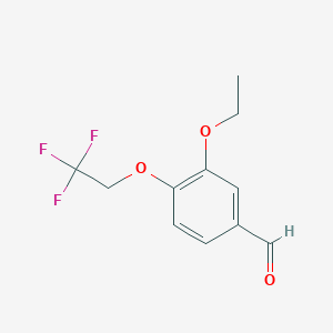 molecular formula C11H11F3O3 B3198869 3-Ethoxy-4-(2,2,2-trifluoroethoxy)benzaldehyde CAS No. 1016691-66-9