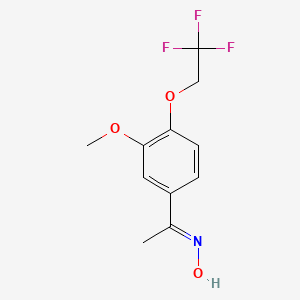 molecular formula C11H12F3NO3 B3199123 N-{1-[3-methoxy-4-(2,2,2-trifluoroethoxy)phenyl]ethylidene}hydroxylamine CAS No. 1016772-21-6