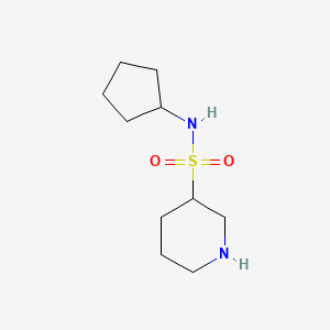 molecular formula C10H20N2O2S B3199253 N-环戊基哌啶-3-磺酰胺 CAS No. 1016814-99-5