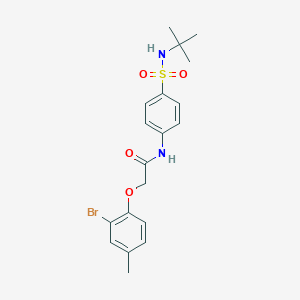 2-(2-bromo-4-methylphenoxy)-N-[4-(tert-butylsulfamoyl)phenyl]acetamide