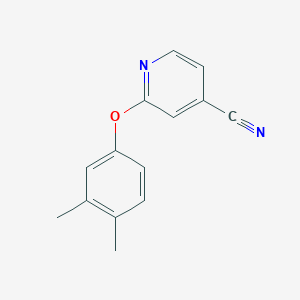 molecular formula C14H12N2O B3199297 2-(3,4-Dimethylphenoxy)pyridine-4-carbonitrile CAS No. 1016822-48-2