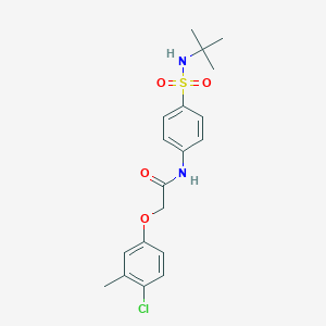 molecular formula C19H23ClN2O4S B319944 N-[4-(tert-butylsulfamoyl)phenyl]-2-(4-chloro-3-methylphenoxy)acetamide 