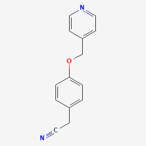 molecular formula C14H12N2O B3199704 2-[4-(Pyridin-4-ylmethoxy)phenyl]acetonitrile CAS No. 1017040-89-9