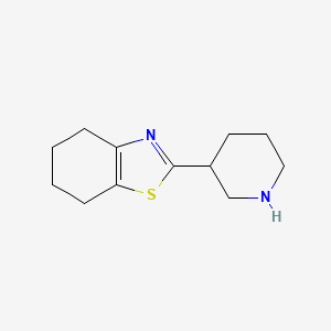 molecular formula C12H18N2S B3199903 2-(Piperidin-3-yl)-4,5,6,7-tetrahydro-1,3-benzothiazole CAS No. 1017184-36-9
