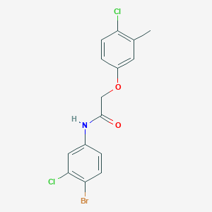 molecular formula C15H12BrCl2NO2 B320203 N-(4-bromo-3-chlorophenyl)-2-(4-chloro-3-methylphenoxy)acetamide 
