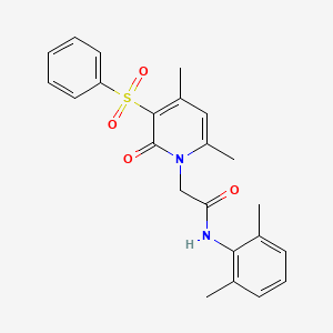 molecular formula C23H24N2O4S B3202751 2-[4,6-dimethyl-2-oxo-3-(phenylsulfonyl)pyridin-1(2H)-yl]-N-(2,6-dimethylphenyl)acetamide CAS No. 1021215-81-5