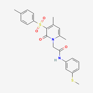 molecular formula C23H24N2O4S2 B3202853 2-[4,6-dimethyl-3-(4-methylbenzenesulfonyl)-2-oxo-1,2-dihydropyridin-1-yl]-N-[3-(methylsulfanyl)phenyl]acetamide CAS No. 1021219-59-9