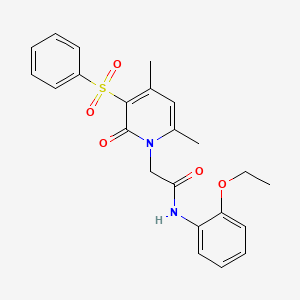 molecular formula C23H24N2O5S B3203281 2-[4,6-dimethyl-2-oxo-3-(phenylsulfonyl)pyridin-1(2H)-yl]-N-(2-ethoxyphenyl)acetamide CAS No. 1021251-85-3