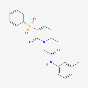 molecular formula C23H24N2O4S B3203283 2-[4,6-dimethyl-2-oxo-3-(phenylsulfonyl)pyridin-1(2H)-yl]-N-(2,3-dimethylphenyl)acetamide CAS No. 1021251-87-5