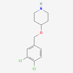 4-[(3,4-Dichlorophenyl)methoxy]piperidine
