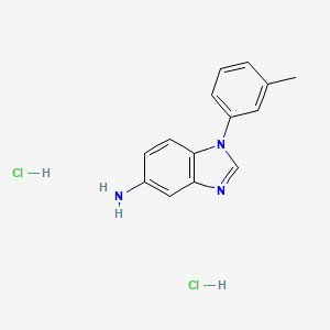 molecular formula C14H15Cl2N3 B3208554 二盐酸 1-(3-甲基苯基)-1H-苯并咪唑-5-胺 CAS No. 1051368-62-7