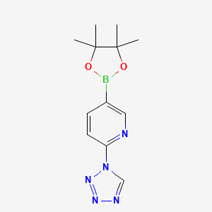 molecular formula C12H16BN5O2 B3208954 5-(4,4,5,5-tetramethyl-1,3,2-dioxaborolan-2-yl)-2-(1H-tetrazol-1-yl)pyridine CAS No. 1056039-90-7