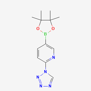 molecular formula C12H16BN5O2 B3208954 5-(4,4,5,5-四甲基-1,3,2-二氧杂硼烷-2-基)-2-(1H-四唑-1-基)吡啶 CAS No. 1056039-90-7