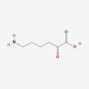molecular formula C6H11NO3 B3210009 6-氨基-2-氧代己酸 CAS No. 10606-14-1