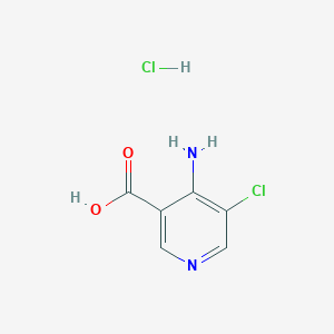 molecular formula C6H6Cl2N2O2 B3210617 4-Amino-5-chloronicotinic acid hydrochloride CAS No. 1073182-98-5