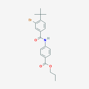 molecular formula C21H24BrNO3 B321127 Propyl 4-[(3-bromo-4-tert-butylbenzoyl)amino]benzoate 