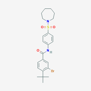 molecular formula C23H29BrN2O3S B321167 N-[4-(1-azepanylsulfonyl)phenyl]-3-bromo-4-tert-butylbenzamide 