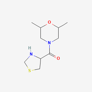 molecular formula C10H18N2O2S B3212543 (2,6-Dimethylmorpholino)(thiazolidin-4-YL)methanone CAS No. 1103877-79-7