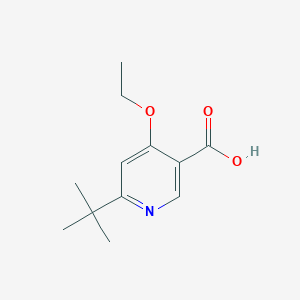 molecular formula C12H17NO3 B3214410 6-(Tert-butyl)-4-ethoxynicotinic acid CAS No. 1143519-21-4