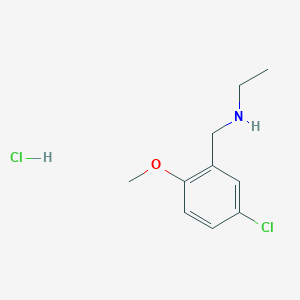molecular formula C10H15Cl2NO B3215087 N-(5-Chloro-2-methoxybenzyl)ethanamine hydrochloride CAS No. 1158592-05-2