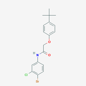 molecular formula C18H19BrClNO2 B321713 N-(4-bromo-3-chlorophenyl)-2-(4-tert-butylphenoxy)acetamide 