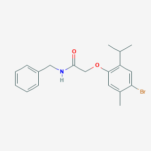 molecular formula C19H22BrNO2 B321725 N-benzyl-2-(4-bromo-2-isopropyl-5-methylphenoxy)acetamide 