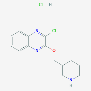 molecular formula C14H17Cl2N3O B3217920 2-Chloro-3-(piperidin-3-ylmethoxy)quinoxaline hydrochloride CAS No. 1185314-12-8