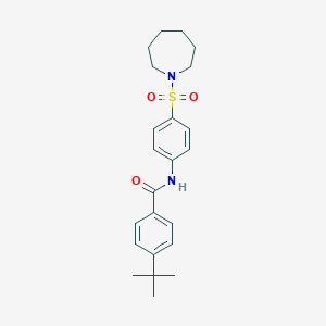 molecular formula C23H30N2O3S B321795 N-[4-(azepan-1-ylsulfonyl)phenyl]-4-tert-butylbenzamide 