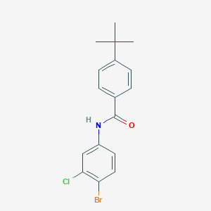 molecular formula C17H17BrClNO B321797 N-(4-bromo-3-chlorophenyl)-4-tert-butylbenzamide 