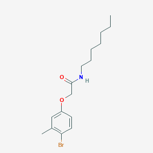 molecular formula C16H24BrNO2 B321810 2-(4-bromo-3-methylphenoxy)-N-heptylacetamide 
